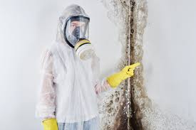 Asbestos and Lead Testing During Mold Inspection in Reamstown, PA